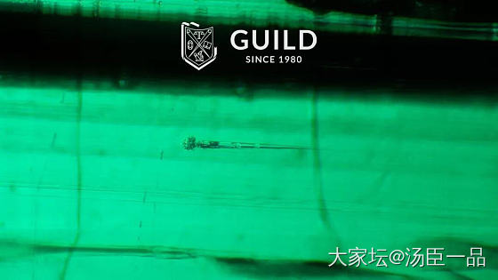 阿富汗祖母绿中有这个钉状流体包裹体吗？_祖母绿