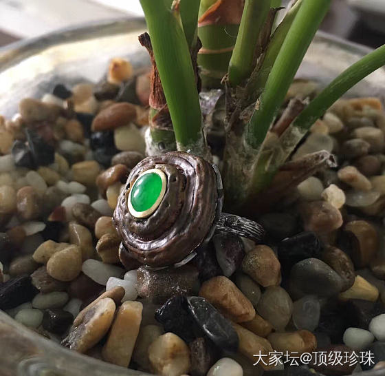 发点文台兄的作品，很另类_设计