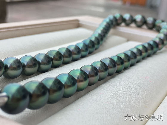 孔雀绿8-10.8顶链_珍珠