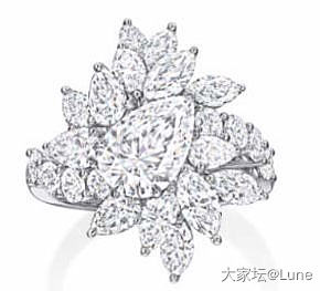 Harrywinston 纽约系列_首饰