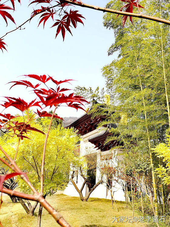 牛首山，佛顶寺_旅游