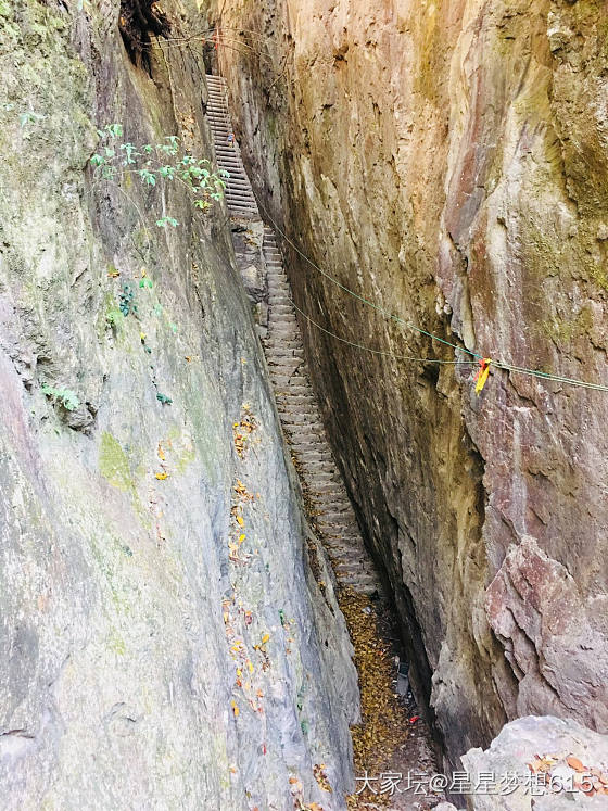 今天约小伙伴爬山，感觉脚不是我的了_浙江旅游