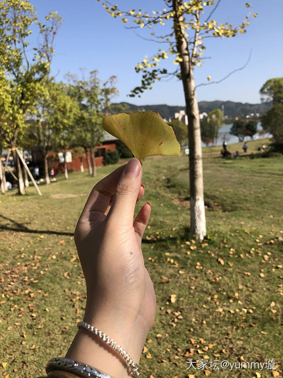 吐个槽_问题