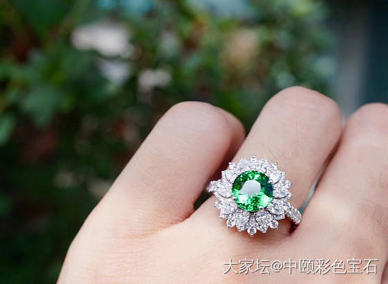 ##中颐旗舰荣誉出品天然莎弗莱戒指## 2.12ct_戒指沙弗莱