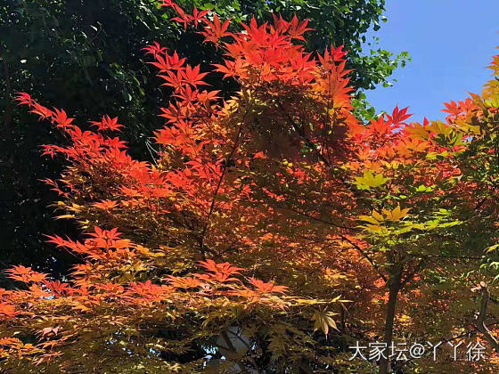 讨论下一步那些年会买什么样的翡翠_翡翠