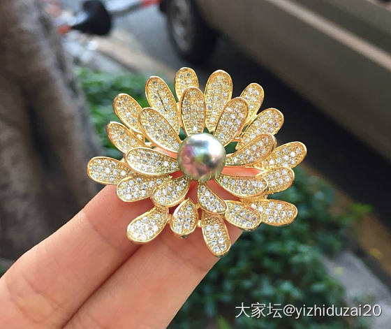 随便发发_胸饰海水珍珠