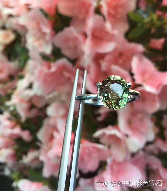 ##中颐天然亚力山大变石## 3.60ct_刻面宝石变石金绿宝石