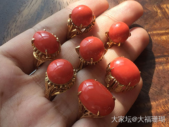 momo珊瑚戒指_戒指珊瑚