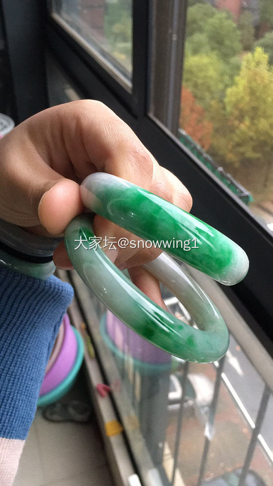 辣绿胖圆带不上呀带不上_手镯翡翠