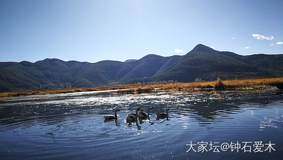 自驾大理、丽江、泸沽湖、盐源、西昌一圈回来_四川云南旅游