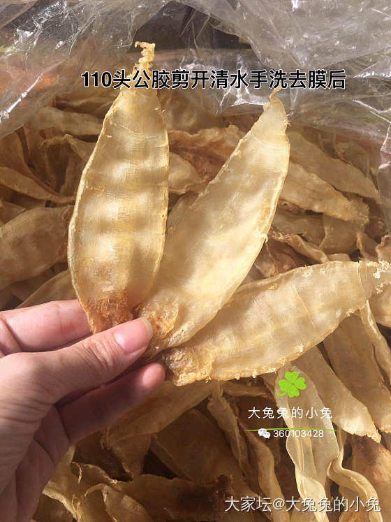 双11要不要来点鱼胶特价活动呢？几百块一斤的赤嘴，或是白蝴蝶胶？_食材大家谈