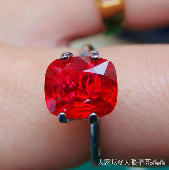 绝地武士有没有正名？_尖晶石