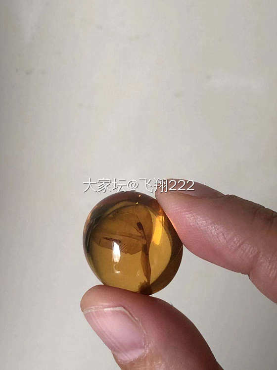 新入手的缅甸琥珀_琥珀