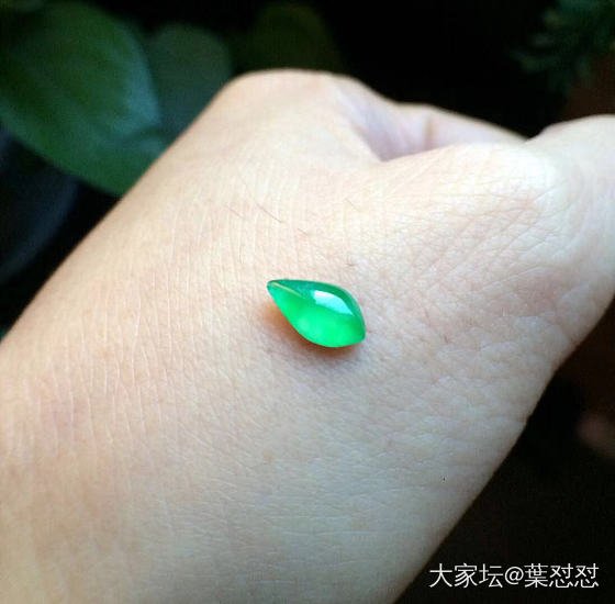 小阳翡翠_蛋面翡翠