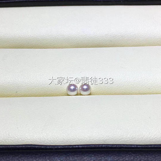 珍珠入坑_珍珠