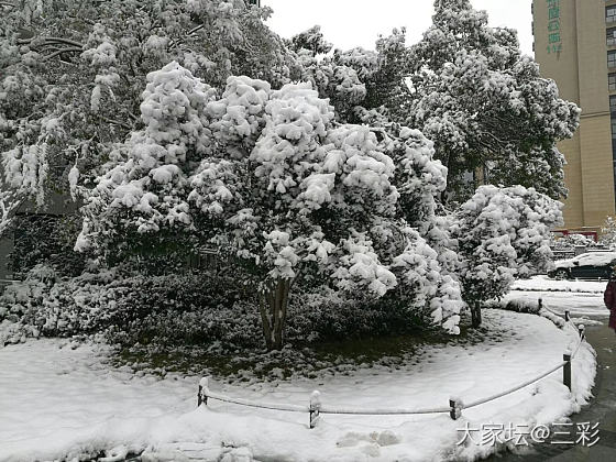 大杭州换装了，今天断桥肯定美翻_闲聊杭州