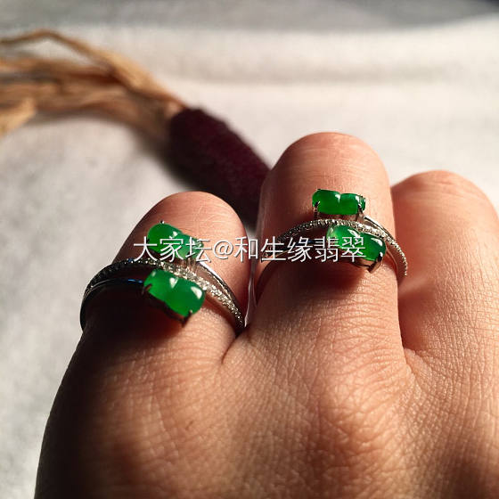 讨论一下白色 绿色 大家会选择什么样的_翡翠