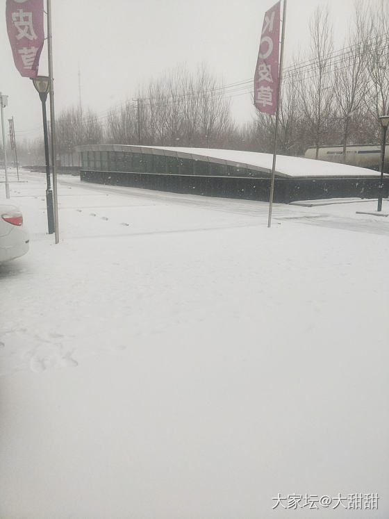 哈尔滨终于下雪了_哈尔滨闲聊