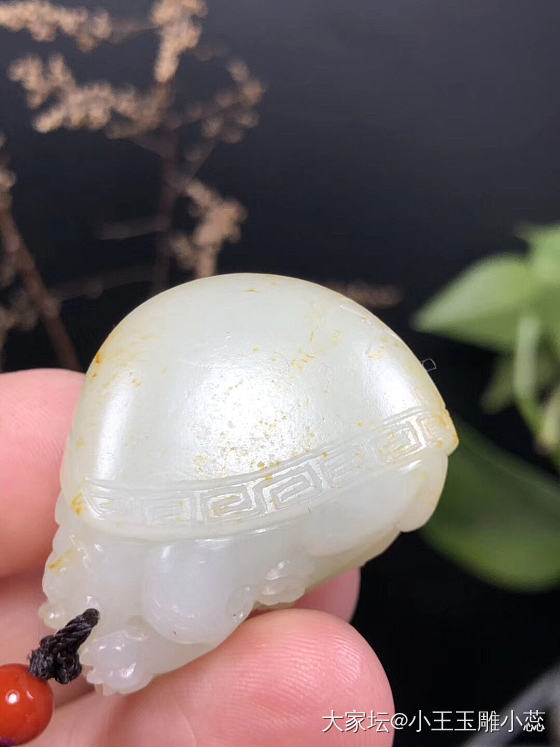 新疆和田玉籽料枣红皮小龙龟挂件，原皮原色，1.1级白，30克！_和田玉