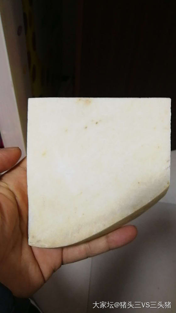 砗渠有了解的么？_珠串砗磲