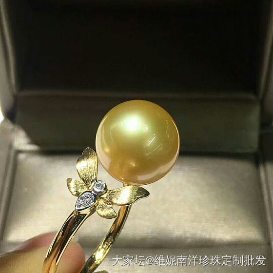 天然颜色浓金珠戒指 11-12mm  无暇 强光
18k镶嵌钻石💎 蝴蝶🦋款 超..._戒指珍珠