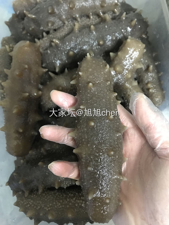 接上～～海参篇【四】
几天事忙耽误更新啦
海参煮完之后，换了冰水放在冰箱中泡了2..._补品美食