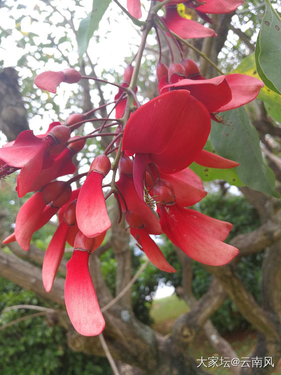 新年快乐*_节日