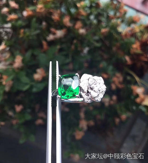 ##中颐天然沙弗莱戒指##  2.17ct  18K白金钻石_戒指沙弗莱彩色宝石