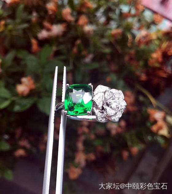 ##中颐天然沙弗莱戒指##  2.17ct  18K白金钻石_戒指沙弗莱彩色宝石