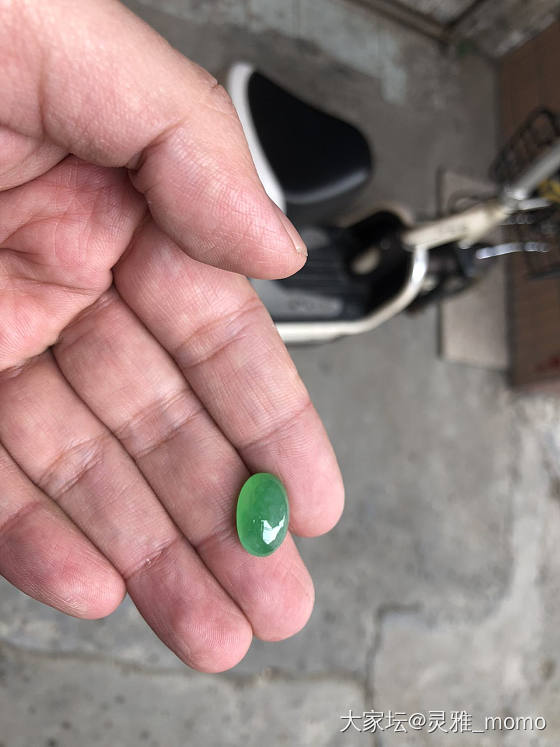 年底平洲游记~~~~_平洲商户
