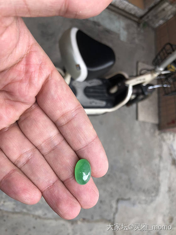年底平洲游记~~~~_平洲商户