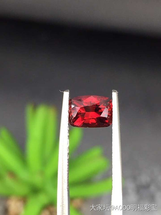 无烧鸽血红宝石，重:1.14ct，晶体全净无瑕。_名贵宝石