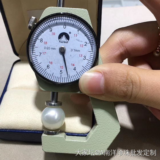 南洋白珠_珍珠