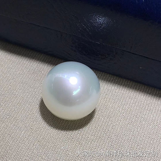 南洋白珠_珍珠