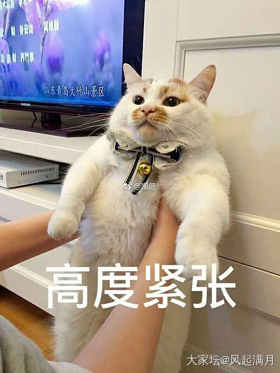 感冒中招😷_健康闲聊