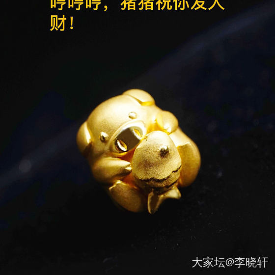 哈哈哈，快来看看这只猪猪吧！_设计