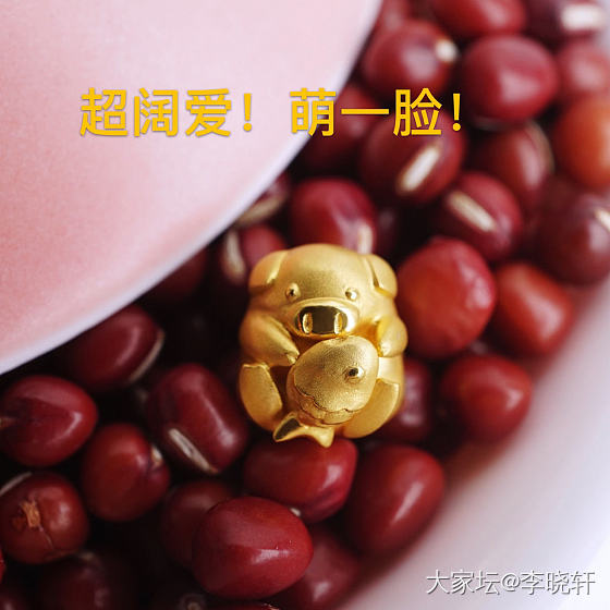哈哈哈，快来看看这只猪猪吧！_设计