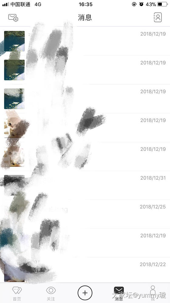 这是什么八哥？_问题
