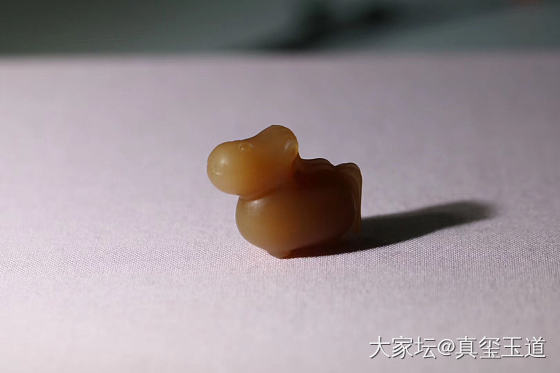 可爱的动物们_和田玉
