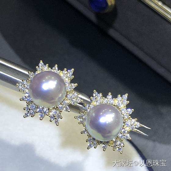 天然真多麻耳钉，8-8.5MM_海水珍珠