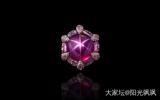 52.22 carat star ruby  Lordspek_戒指红宝石