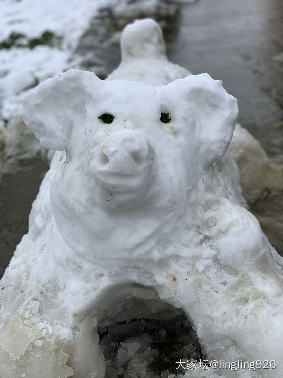 玩雪啦_景色