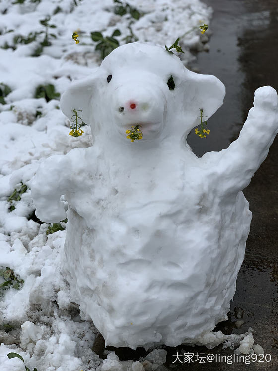 玩雪啦_景色