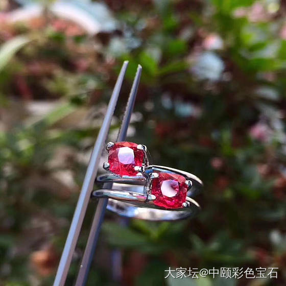 ##中颐天然未加热缅甸鸽血红尖晶 一对 ##  2.68ct_刻面宝石尖晶石彩色宝石