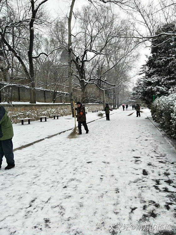 2019年帝都下了第一场瑞雪！兆丰年呀✌✌✌_北京闲聊