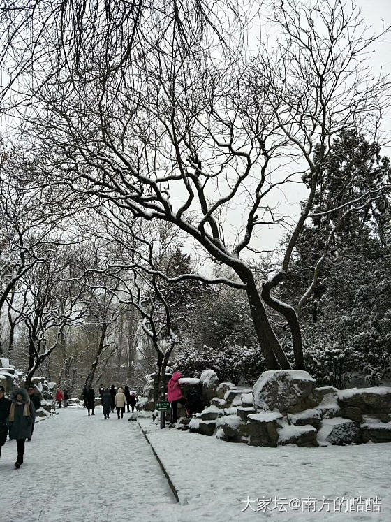 2019年帝都下了第一场瑞雪！兆丰年呀✌✌✌_北京闲聊