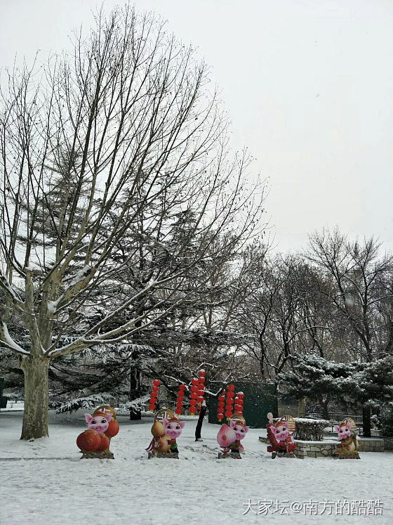 2019年帝都下了第一场瑞雪！兆丰年呀✌✌✌_北京闲聊