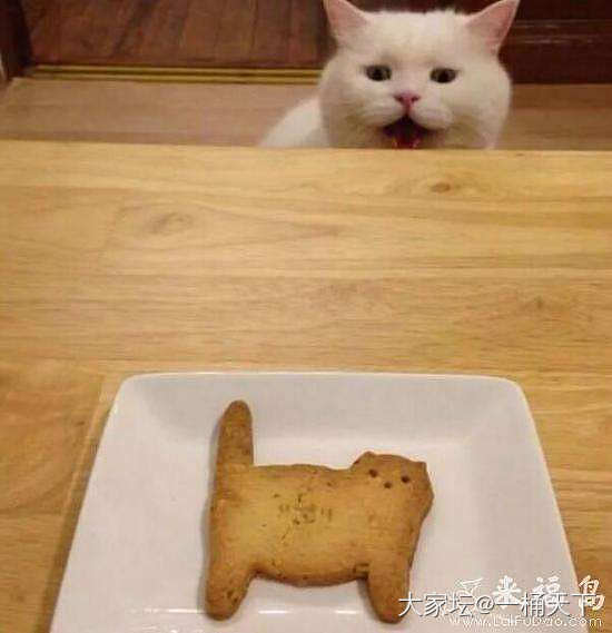 不知道啥材料的_摆件玉石
