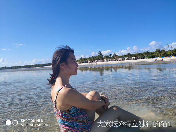 秀秀巴哈马的海滩_旅游