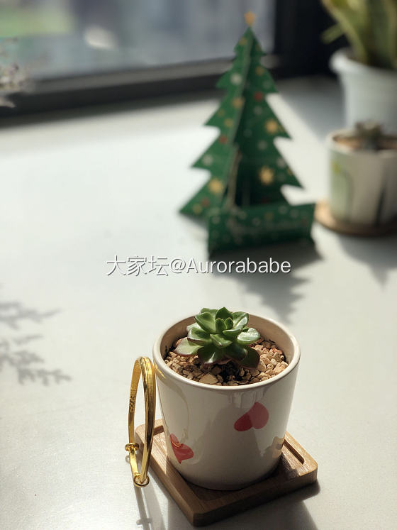 原来你这么美_手镯金